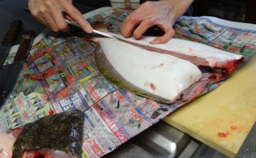 ヒラメ20120213.jpg