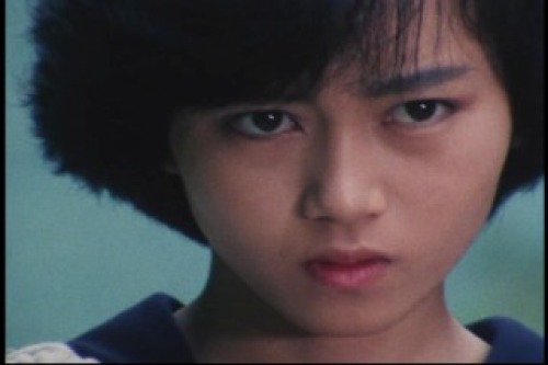 PDVD_024.jpg
