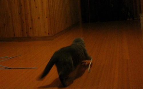 01203h.jpg