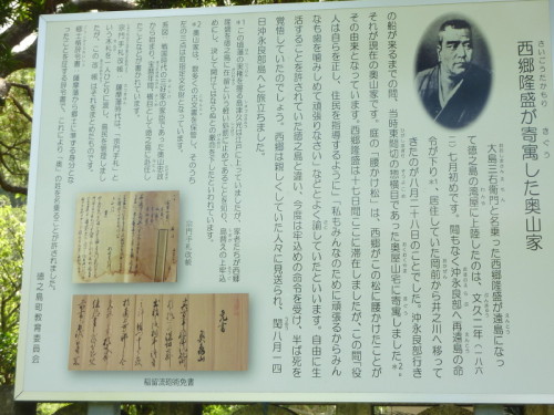 P1030158.JPG