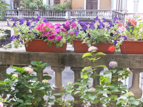 17 sabato pieno di fiori.jpg