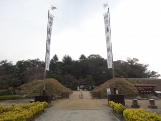 DSC00665.jpg