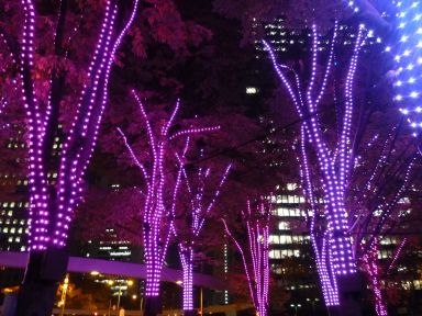 20121119新宿アイランドタワーイルミ5.jpg