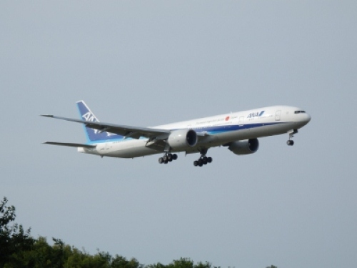 P6240260 (400x300).jpg