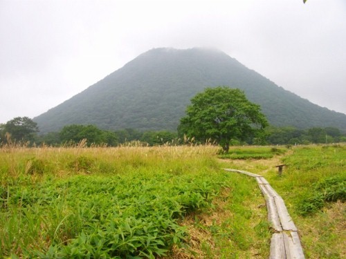 榛名外輪山ゆうすげ園 (12) (500x375).jpg