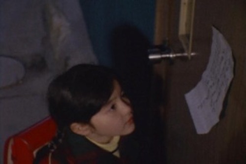 PDVD_015.jpg