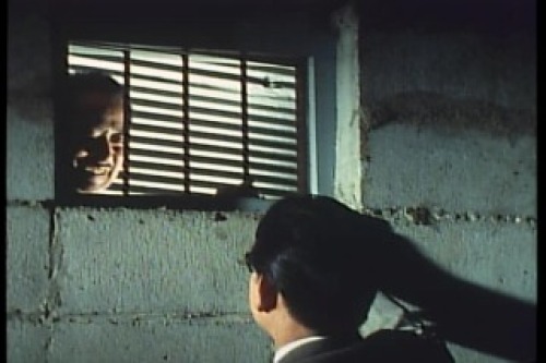 PDVD_014.jpg