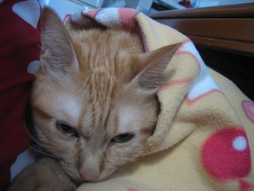 Sept. 28, 2013(1).JPG