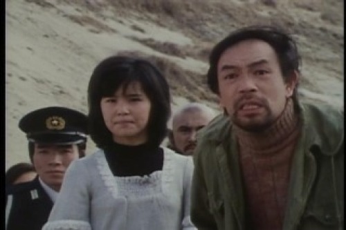 PDVD_029.jpg