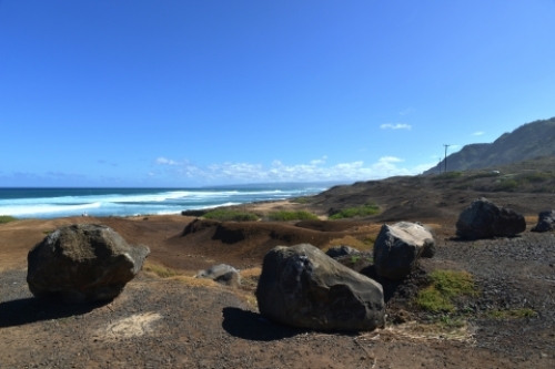 pict-カエナ 5.jpg