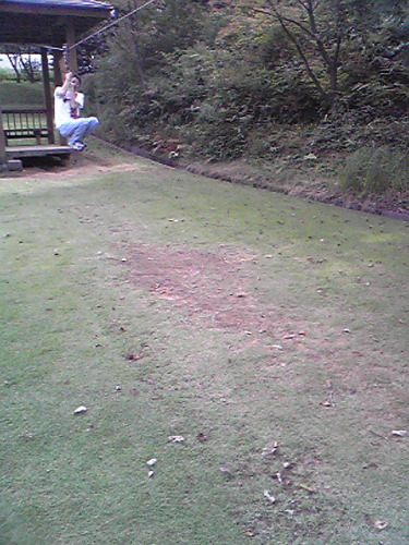 Image107~00.jpg