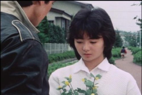 PDVD_054.jpg