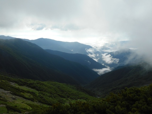 間ノ岳登山道より北沢.JPG