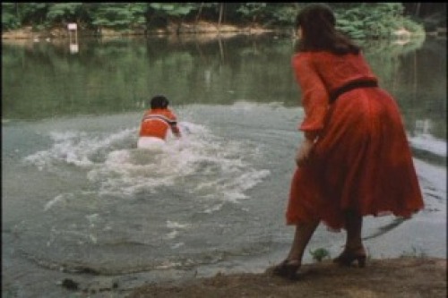 PDVD_002.jpg