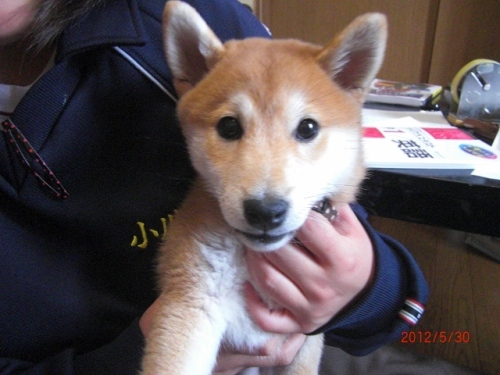 CIMG6097 (640x480).jpg