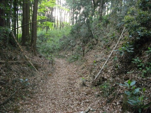 勝沼城空堀 (2) (500x375).jpg