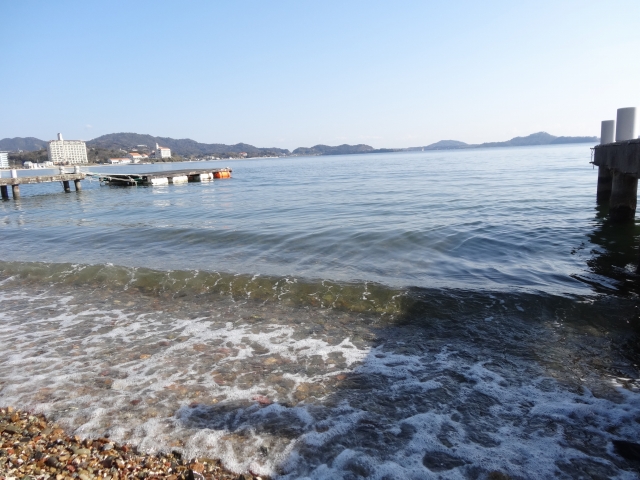 DSC09508.jpg