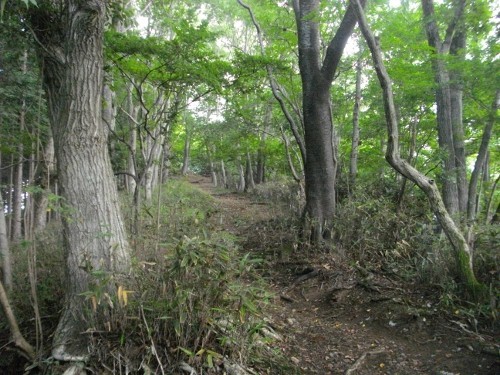 正丸峠旧正丸峠 (2) (500x375).jpg