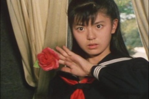 PDVD_016.jpg