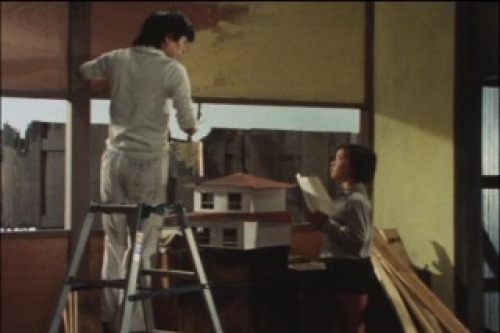 PDVD_042.jpg