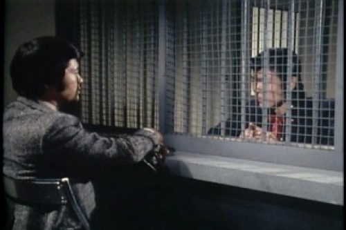 PDVD_014.jpg