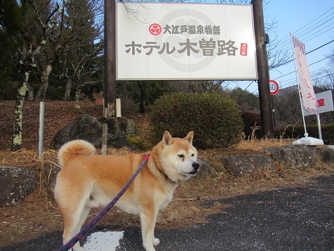 ホテル 木曽 路 ペット