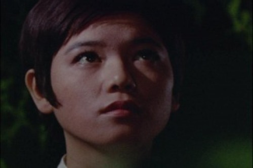 PDVD_031.jpg