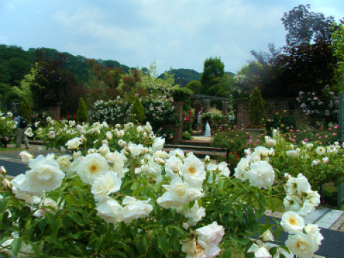 DSCF8312.jpg