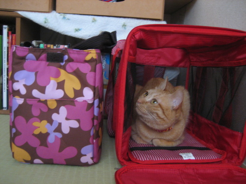 June 30, 2013(9).JPG