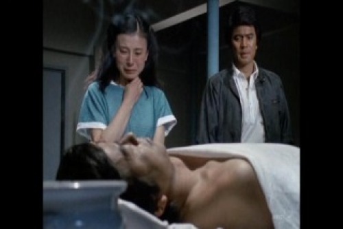 PDVD_080.jpg
