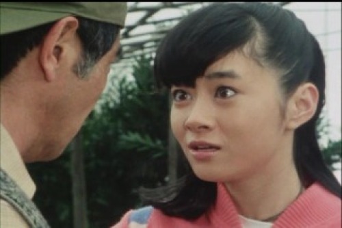 PDVD_034.jpg