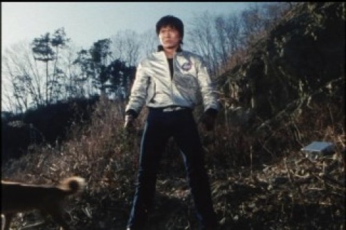 PDVD_025.jpg