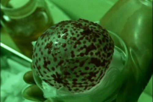 PDVD_021.jpg