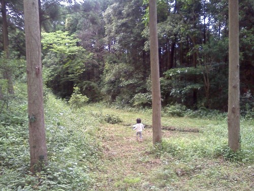 IMG00533.jpg