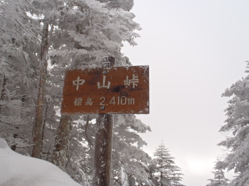 P1020014.JPG