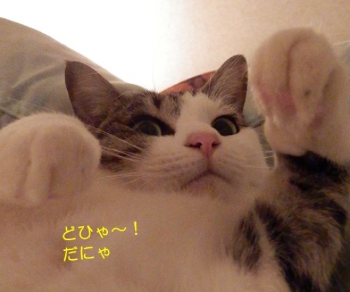 20141216_5.jpg