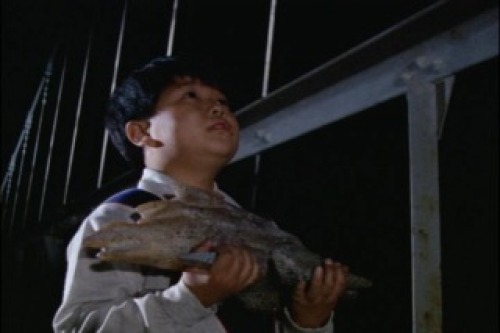 PDVD_020.jpg