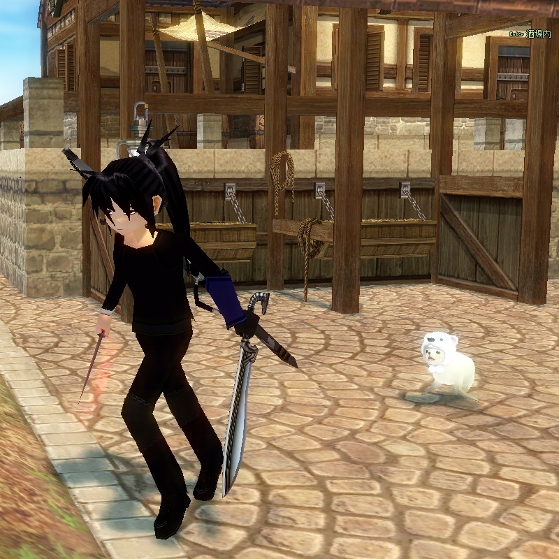 mabinogi_2014_06_13_024.jpg