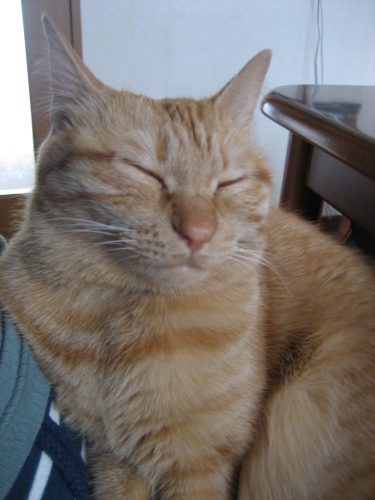 Jan. 07, 2014(12).JPG