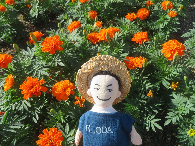 小田 和正「全国ツアー完走記念イベント」開催決定