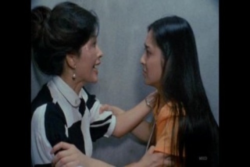 PDVD_003.jpg