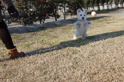 IMGP8616編集.jpg