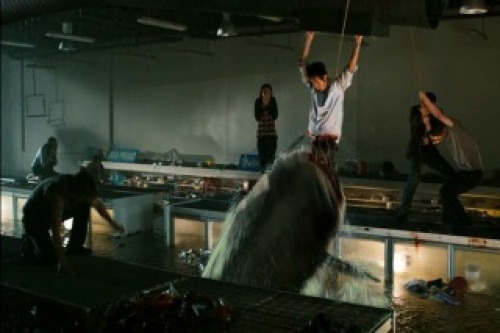 PDVD_008.jpg