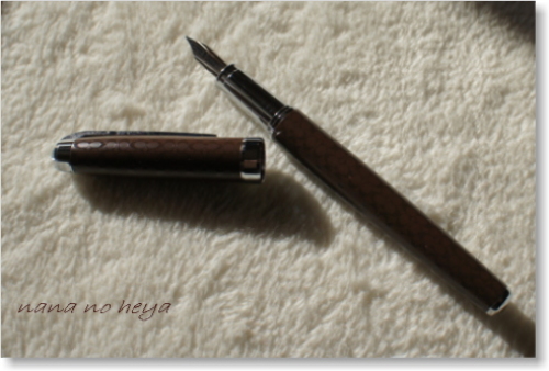 MONOMAX1月号付録 コーチの万年筆