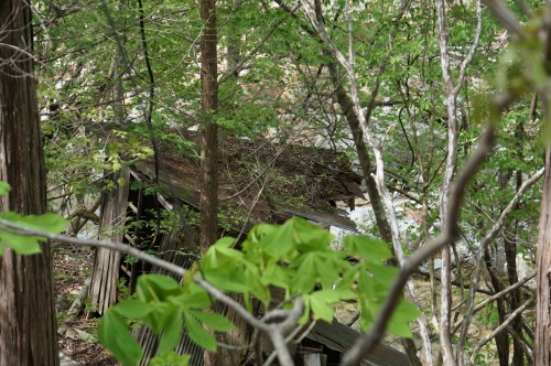 DSC08671.JPG