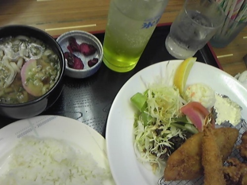 2012 6-9ka.ri 馬見丘陵公園 003.jpg