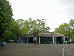 埼玉7.jpg
