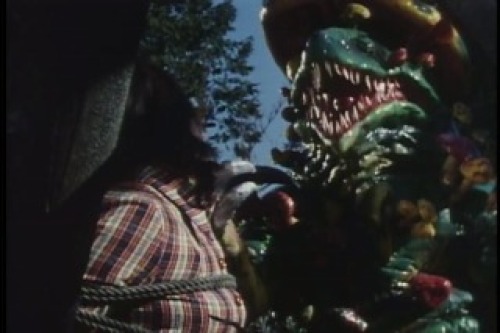 PDVD_019.jpg