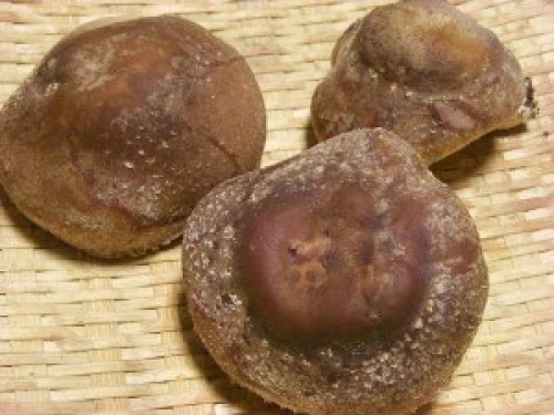 DSCN1613 (300x225).jpg