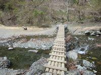 IMG_3409_R.JPG